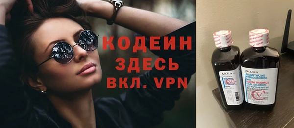 крисы Богородицк