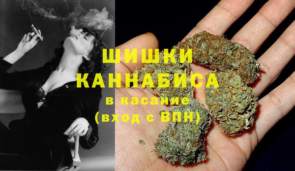 бошки Богданович