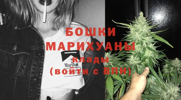 бошки Богданович