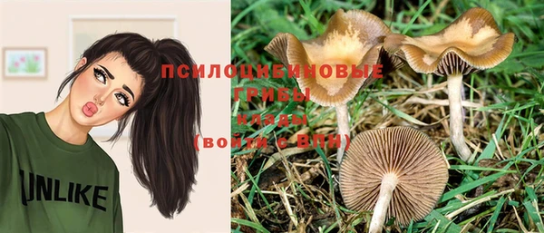 крисы Богородицк