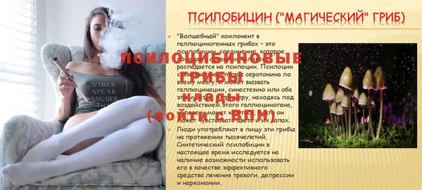 бошки Богданович
