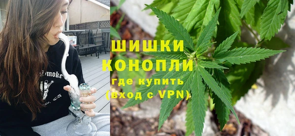 крисы Богородицк