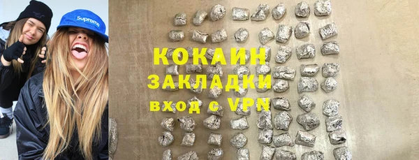 крисы Богородицк