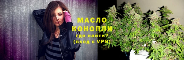 крисы Богородицк