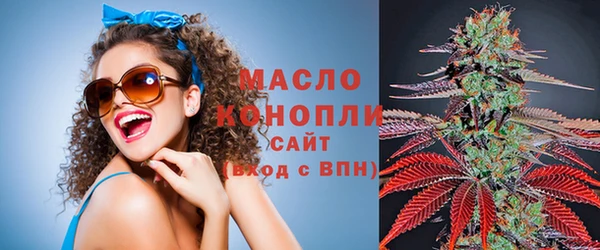 крисы Богородицк