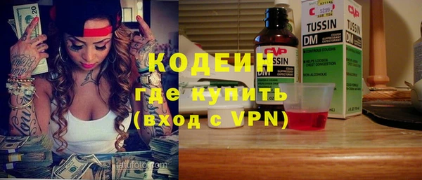 крисы Богородицк