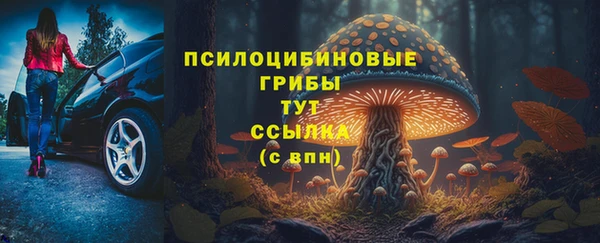 бошки Бугульма