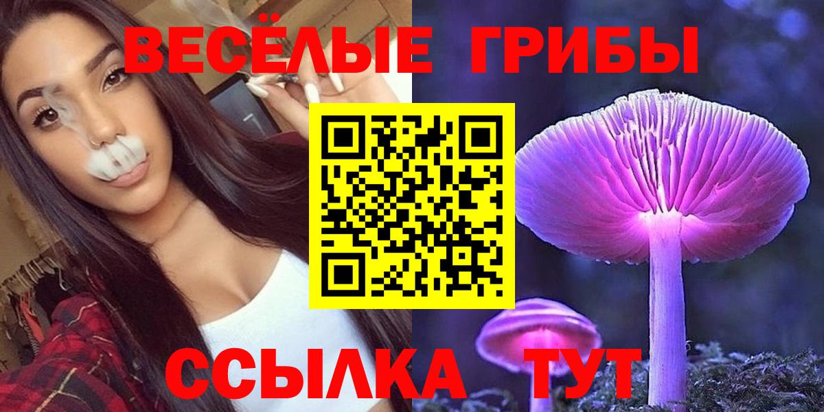 Галлюциногенные грибы Psilocybine cubensis  Вход с VPN  Галлюциногенные грибы Psilocybine cubensis  Бугульма 