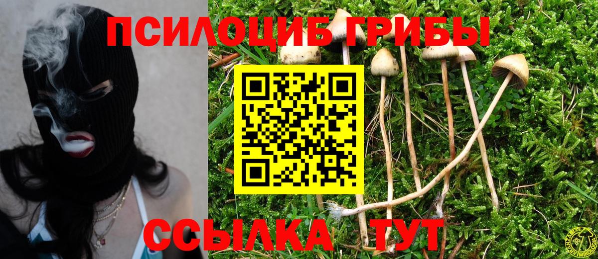 Псилоцибиновые грибы GOLDEN TEACHER Бугульма